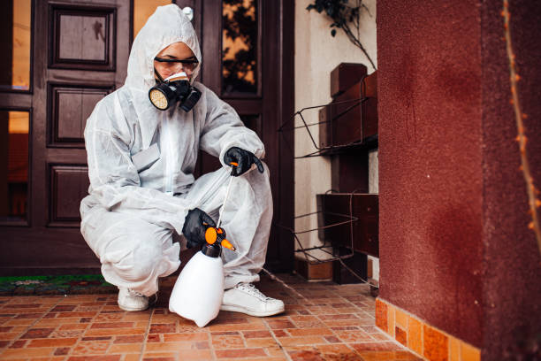 Reliable Wasp Removal contractor in Florence, CO by Show Me Pest Control